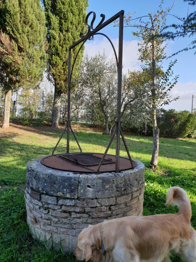 Podere Il Poggio 阿夏诺 外观 照片